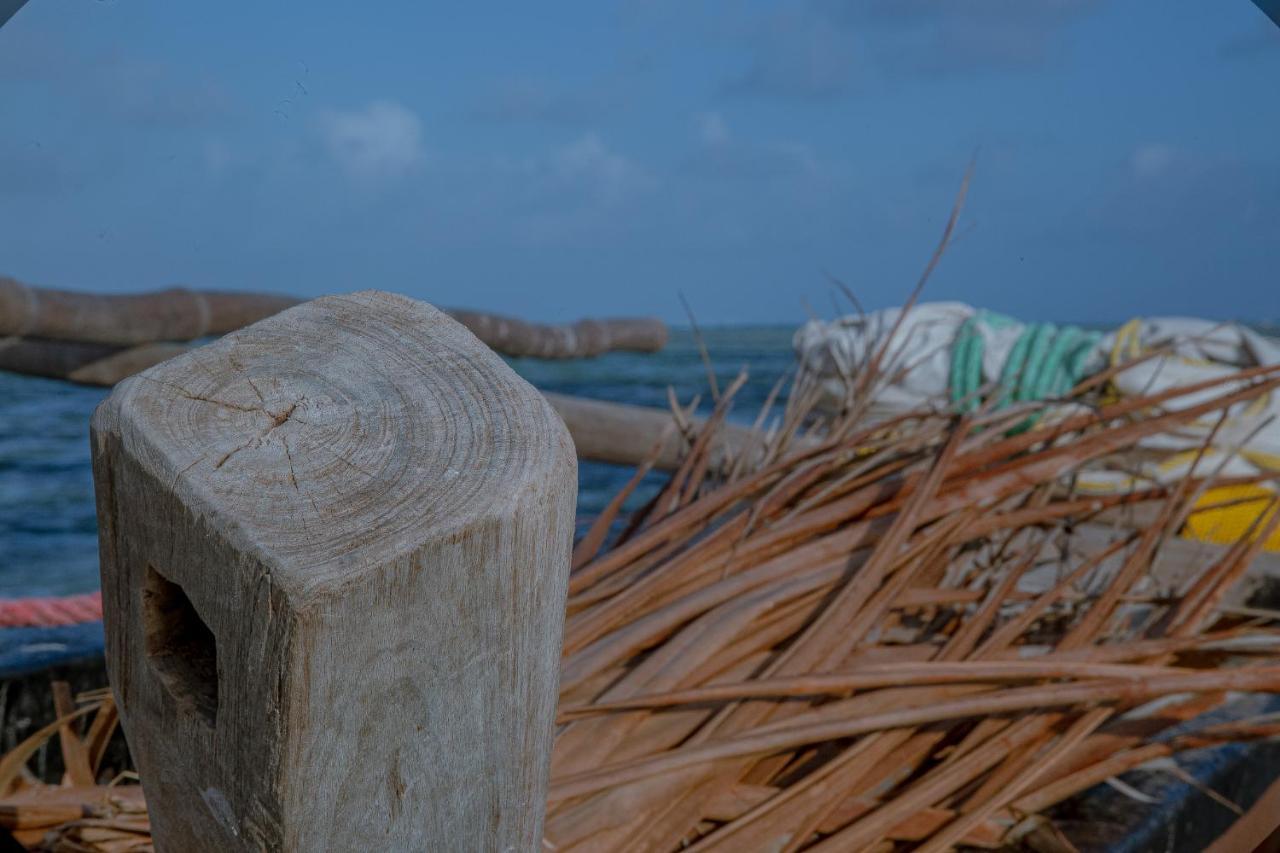 Afriican Village Zanzibar Michamvi 외부 사진