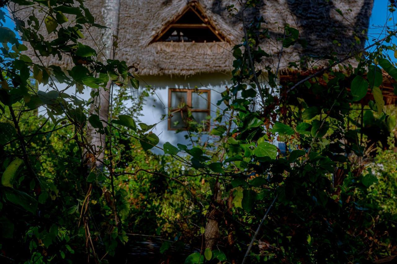 Afriican Village Zanzibar Michamvi 외부 사진