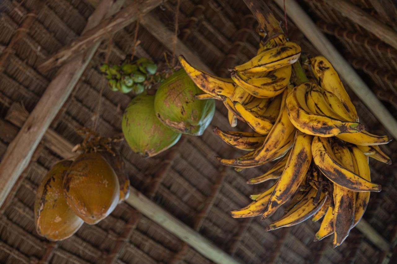 Afriican Village Zanzibar Michamvi 외부 사진