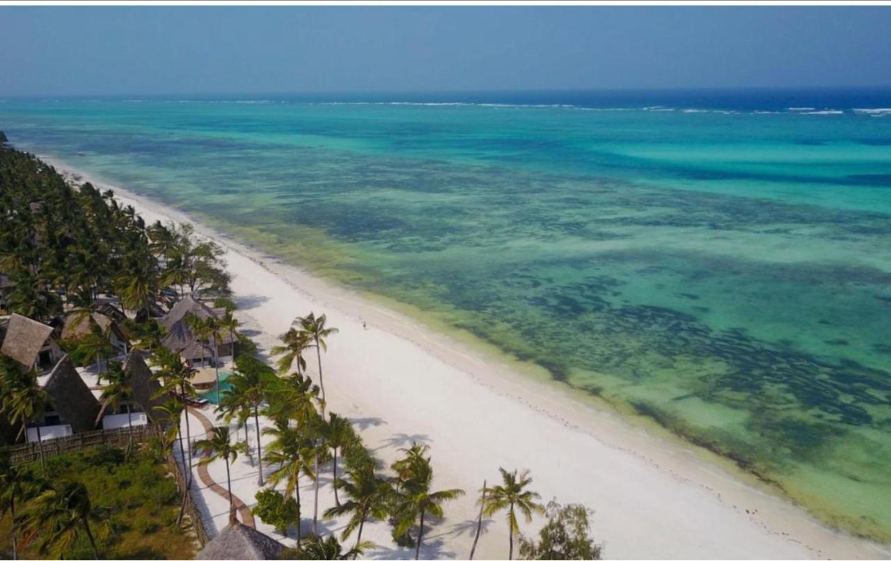 Afriican Village Zanzibar Michamvi 외부 사진