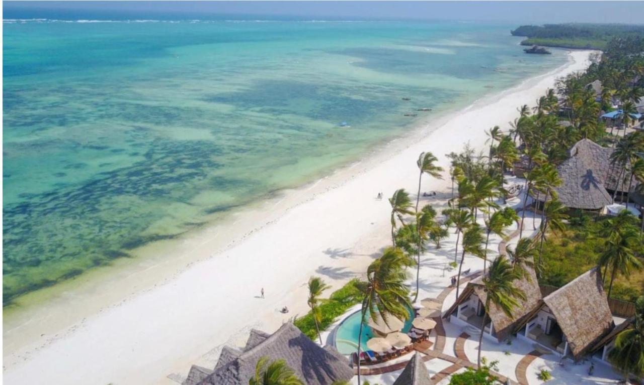 Afriican Village Zanzibar Michamvi 외부 사진