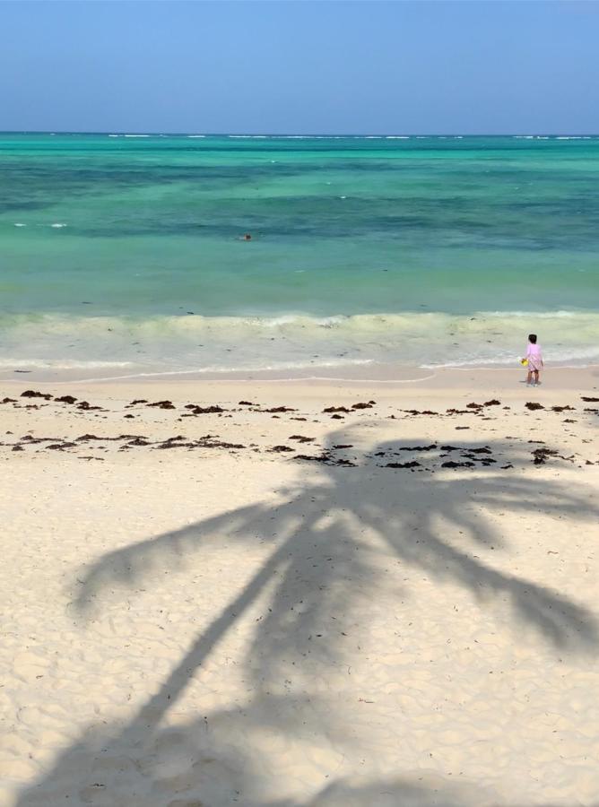 Afriican Village Zanzibar Michamvi 외부 사진