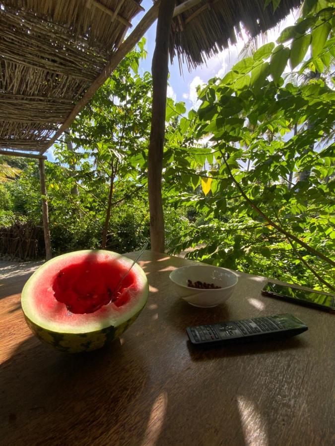 Afriican Village Zanzibar Michamvi 외부 사진