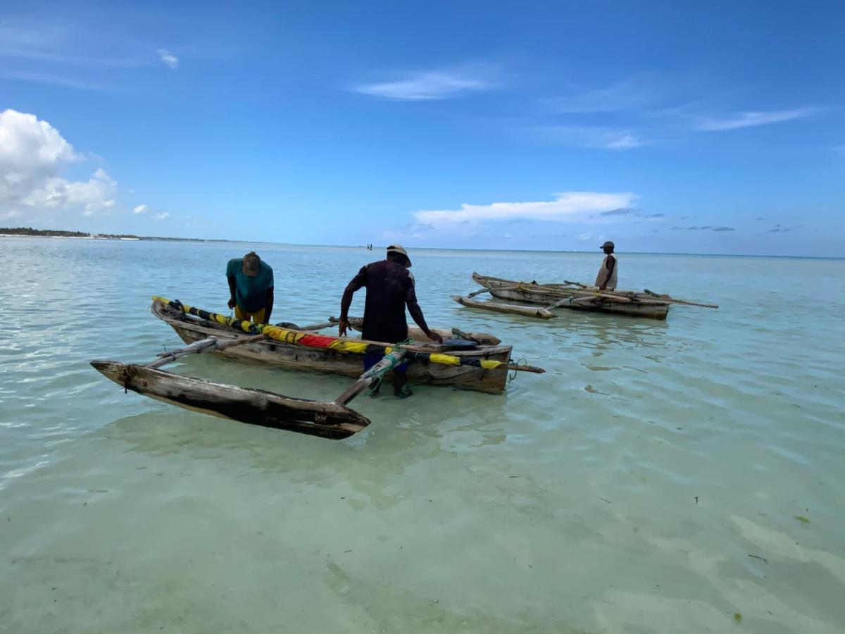 Afriican Village Zanzibar Michamvi 외부 사진
